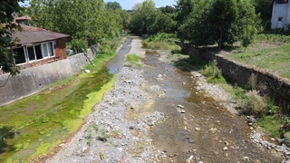 Dereye atılan kurban atıkları 150 kişiyi hastanelik etti