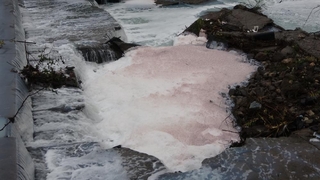 Dereyi kirleten firma, bakın kim çıktı