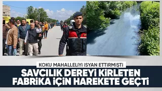 Dereyi kirlettiği iddia edilen fabrikaya savcılıktan soruşturma