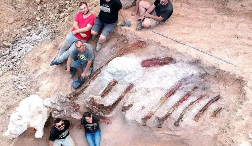 Dev dinozor fosili bahçeden çıktı