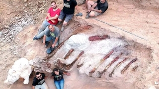 Dev dinozor fosili bahçeden çıktı