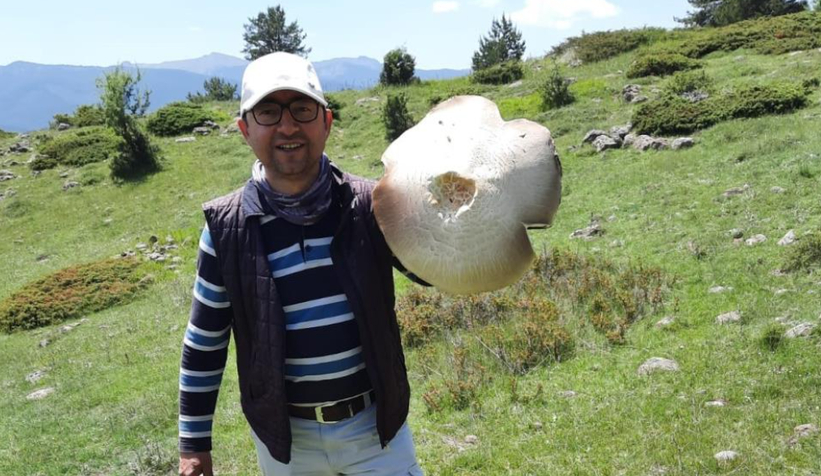 Dev kızıl mantar görenleri şaşırttı