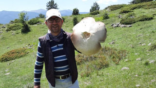 Dev kızıl mantar görenleri şaşırttı