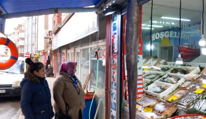 Dev müren balığı yakaladılar