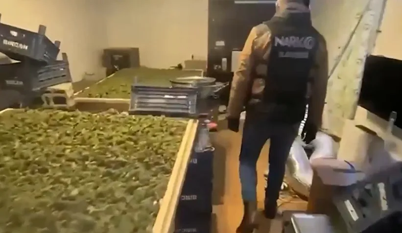 Dev uyuşturucu operasyonu: 768 gözaltı