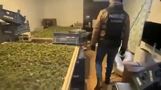 Dev uyuşturucu operasyonu: 768 gözaltı