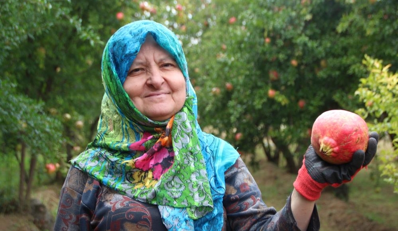  Deve Dişi narında fiyat memnun etmedi