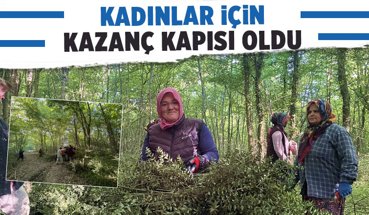 Dikenine katlanarak evlerine ekmek parası götürüyorlar