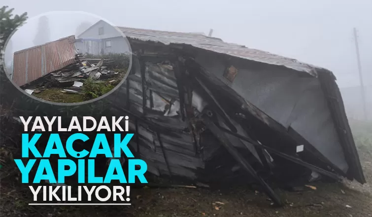 Dikmen Yaylası'ndaki kaçak yapılar için yeni gelişme