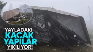 Dikmen Yaylası'ndaki kaçak yapılar için yeni gelişme