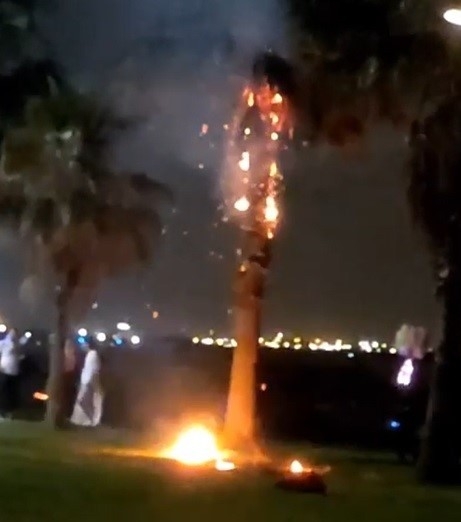 Dilek balonu pamiye ağacını yaktı