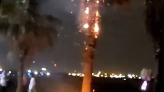 Dilek balonu pamiye ağacını yaktı