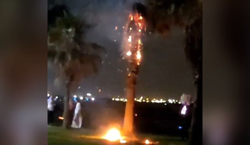 Dilek balonu pamiye ağacını yaktı