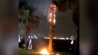 Dilek balonu pamiye ağacını yaktı