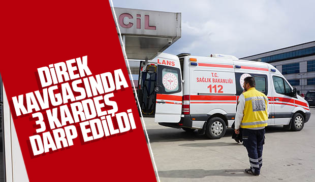 Direğin yeri konusunda kavga çıktı, 3 kardeş darp edildi