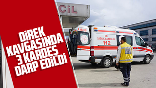 Direğin yeri konusunda kavga çıktı, 3 kardeş darp edildi