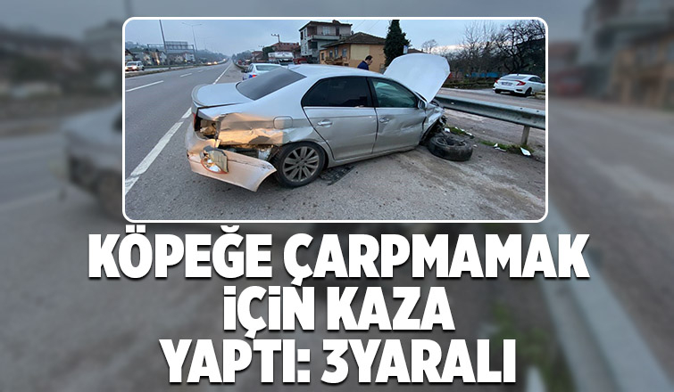 Direksiyonu kırdı ama kurtaramadı: 3 yaralı