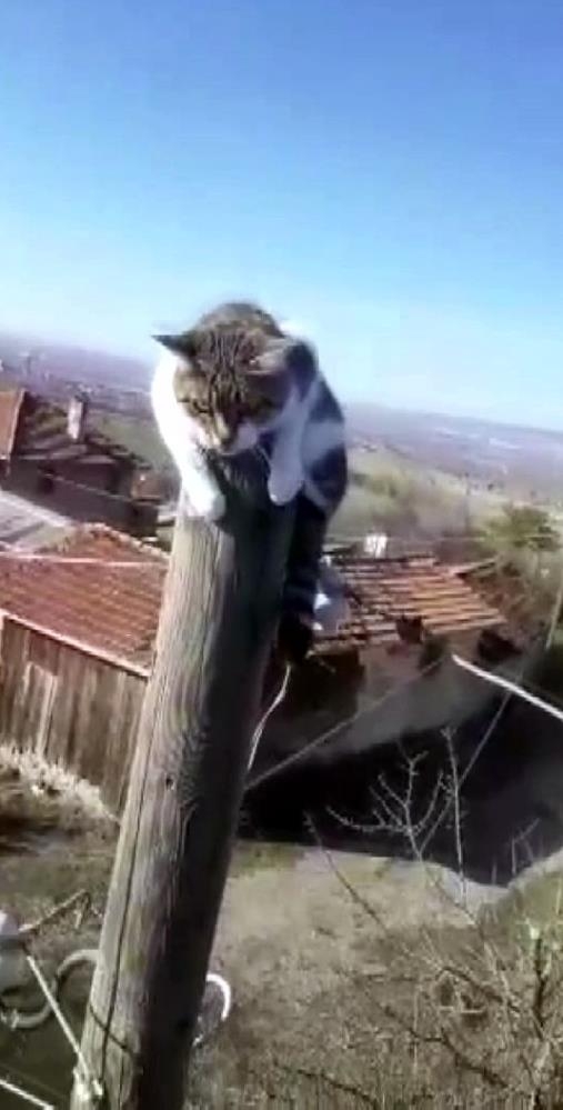 Direkte mahsur kaldı