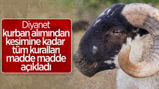 Diyanet'ten kurban kesimi tebliği