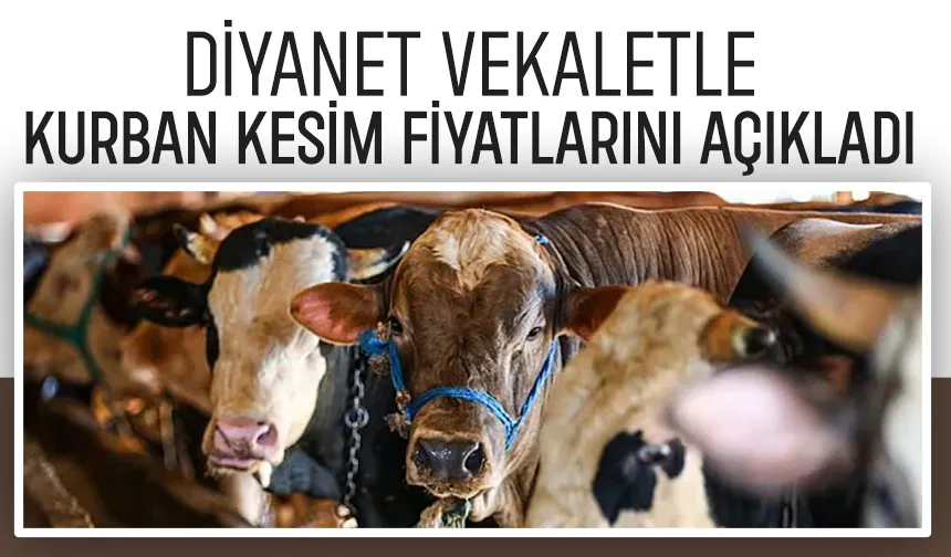 Diyanet vekaletle kurban kesim ücretlerini açıkladı; İşte yurt içi ve yurt dışı fiyatlar