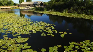 Doğa harikası Acalar Longozu için yeni koruma kararı