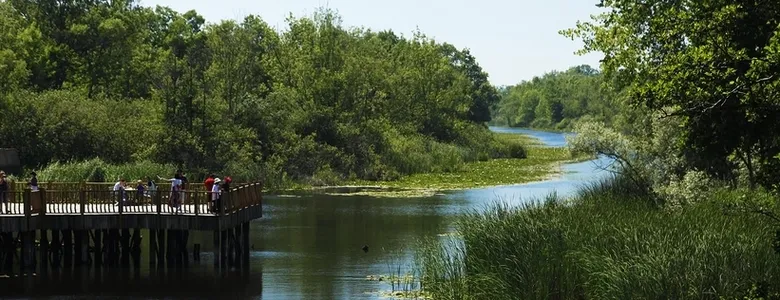 Doğa harikası Acalar Longozu için yeni koruma kararı