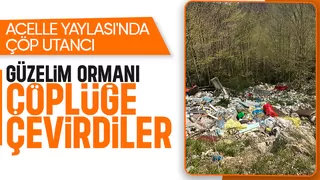 Doğa Katliamı: Acelle Yaylası çöplüğe döndü