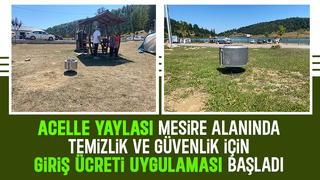 Doğa koruma için ücretli giriş: Acelle Yaylası mesire alanında yeni dönem