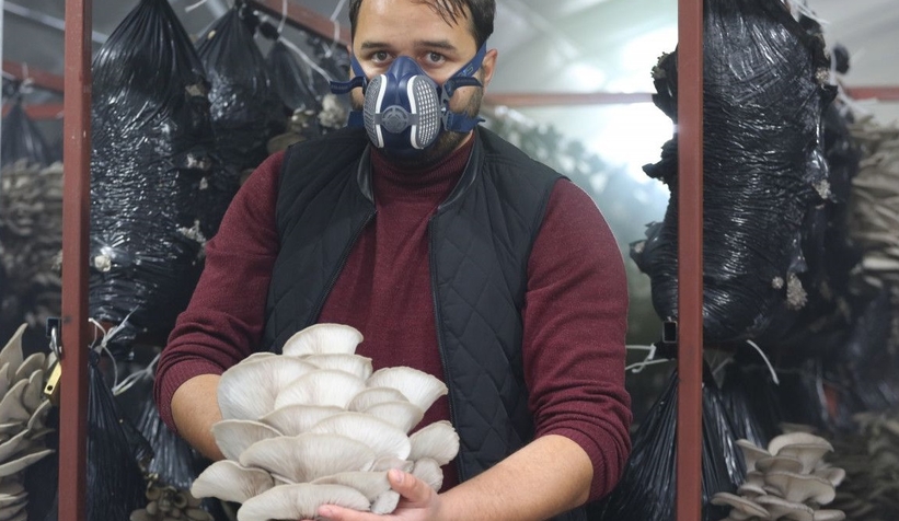 Doğa tutkusu mantar yetiştiricisi yaptı