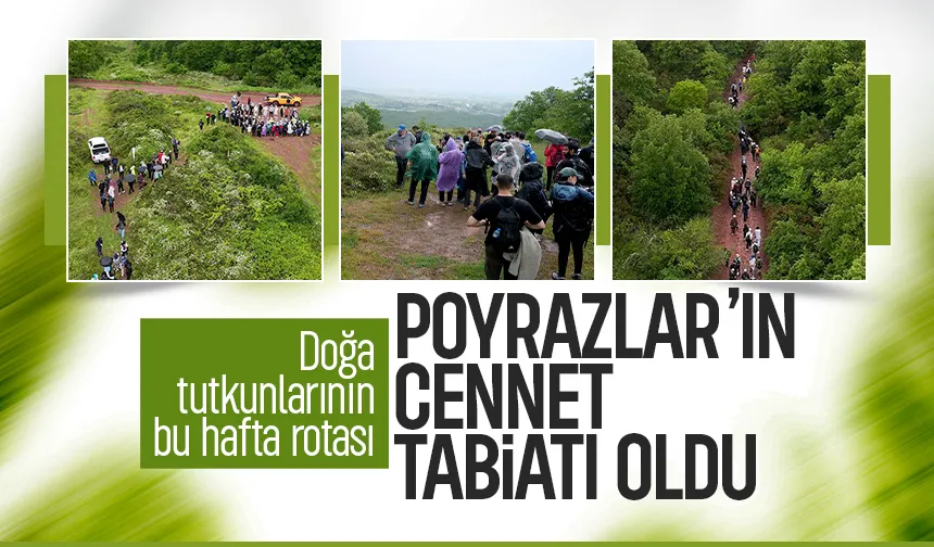 Doğa yürüyüşleri Poyrazla rile devam etti