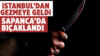 Doğal yaşam köyü otoparkındaki tartışmada kan aktı