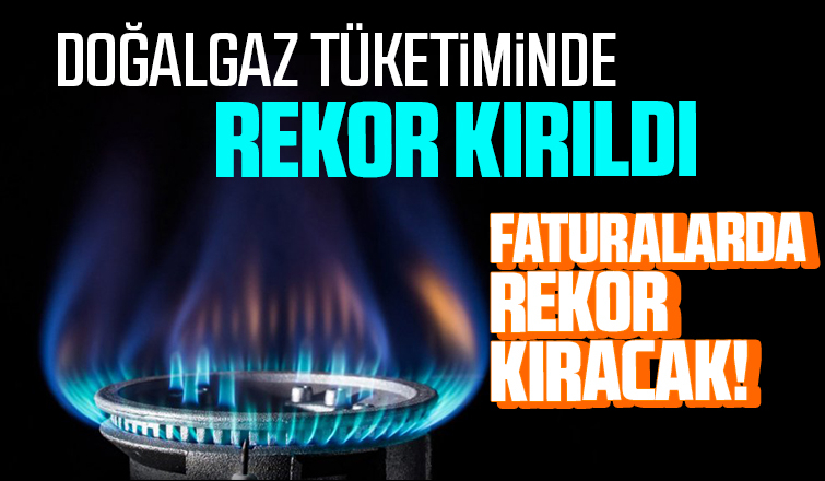 Doğalgaz tüketiminde rekor kırıldı