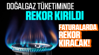 Doğalgaz tüketiminde rekor kırıldı