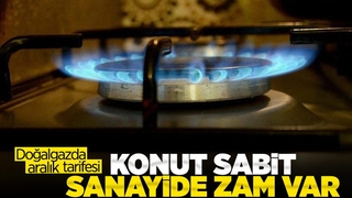 Doğalgazda aralık tarifesinde sanayi ve ticari kuruluşlara zam geldi