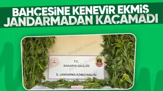 Dokurcun'da uyuşturucu operasyonu