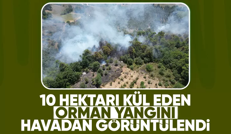 Dokurcun'daki orman yangını havadan görüntülendi