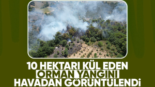 Dokurcun'daki orman yangını havadan görüntülendi