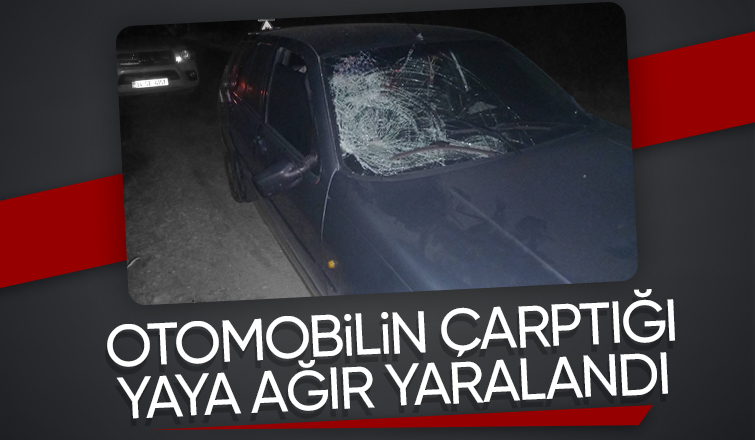 Dokurcun yolunda aracın çarptığı yaya ağır yaralandı