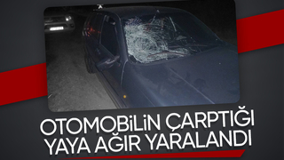 Dokurcun yolunda aracın çarptığı yaya ağır yaralandı