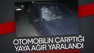 Dokurcun yolunda aracın çarptığı yaya ağır yaralandı