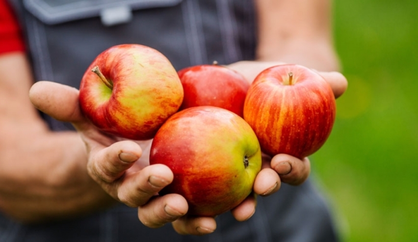 Dokuz tarım ilacına daha yasak geldi