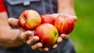 Dokuz tarım ilacına daha yasak geldi