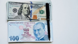 Dolar, Euro çakıldı
