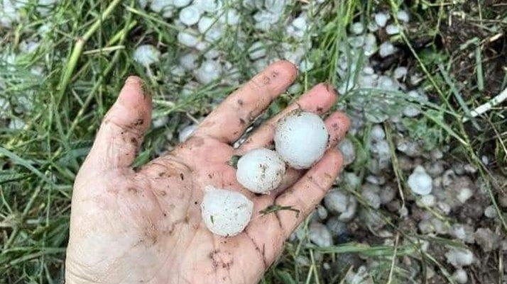 Dolu ve sel vurdu, 10 bin hektar arazi zarar gördü