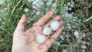 Dolu ve sel vurdu, 10 bin hektar arazi zarar gördü
