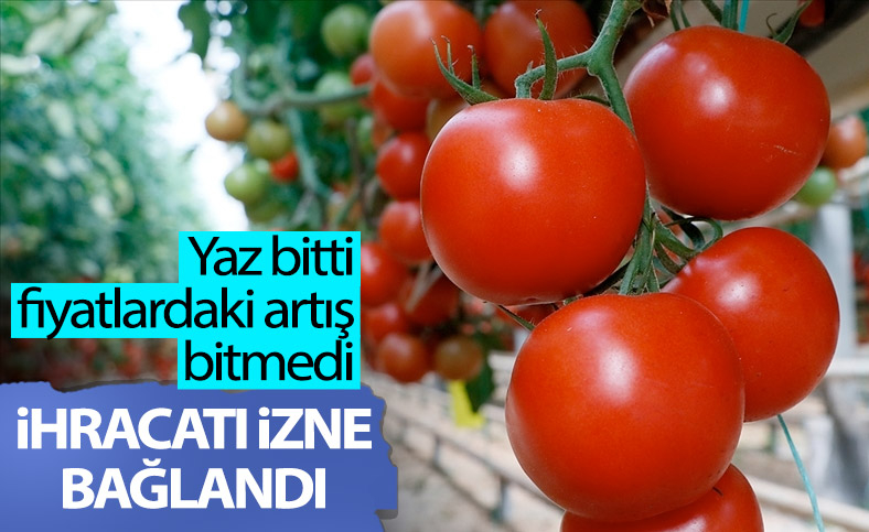 Domates ihracatı Ticaret Bakanlığı iznine bağlandı