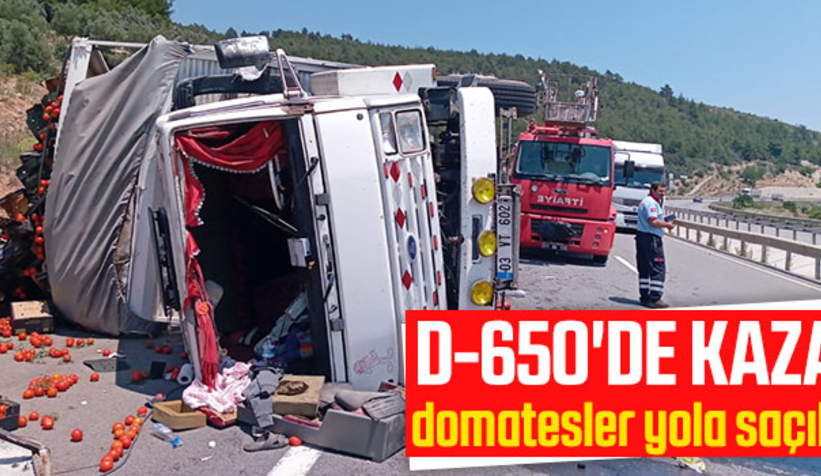 Domates yüklü kamyon devrildi