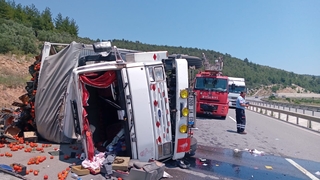 Domates yüklü kamyon devrildi