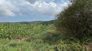 Domuz nöbetinde yanlışlıkla arkadaşını öldürdü