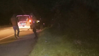 Domuz sürüsüne daldı